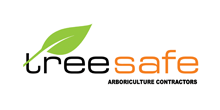 Tree Safe